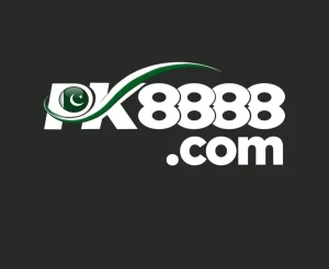 pk8888 game logo