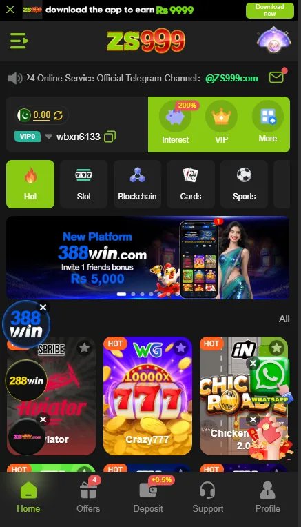 zs999-game-interface-screenshot